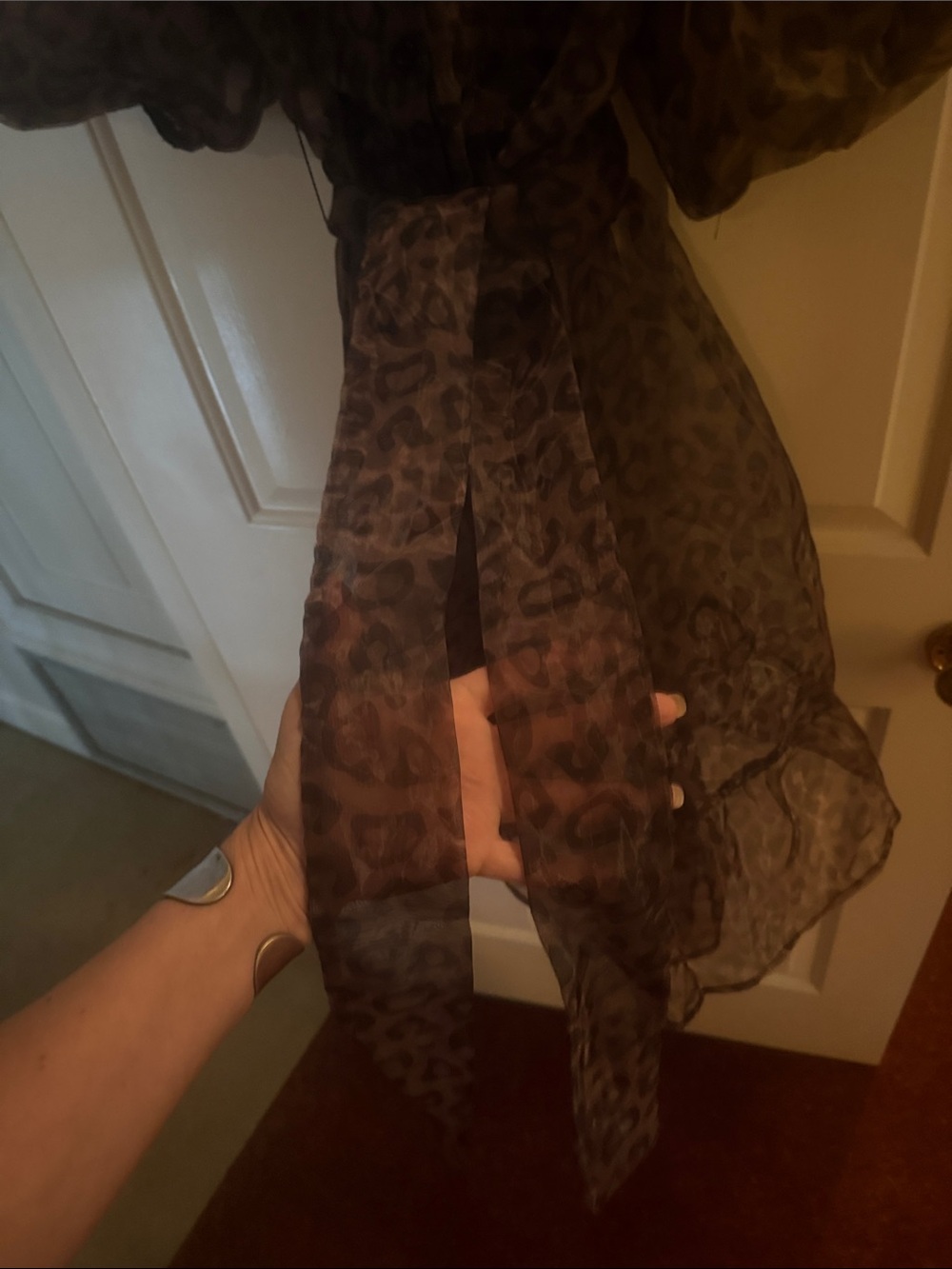 Sheer Brown Leopard Print Puff-Sleeve Dress - Picture 3 of 6